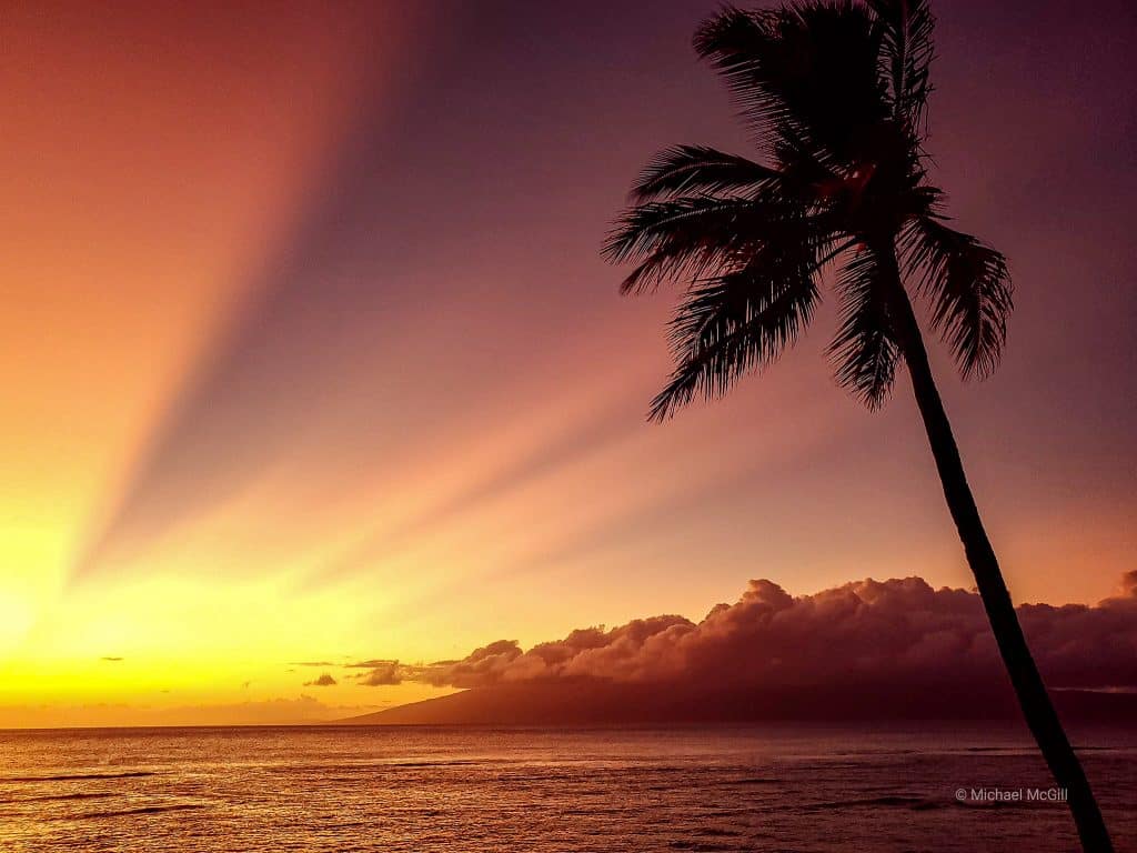 Aloha Friday Photo: Rays of Hope