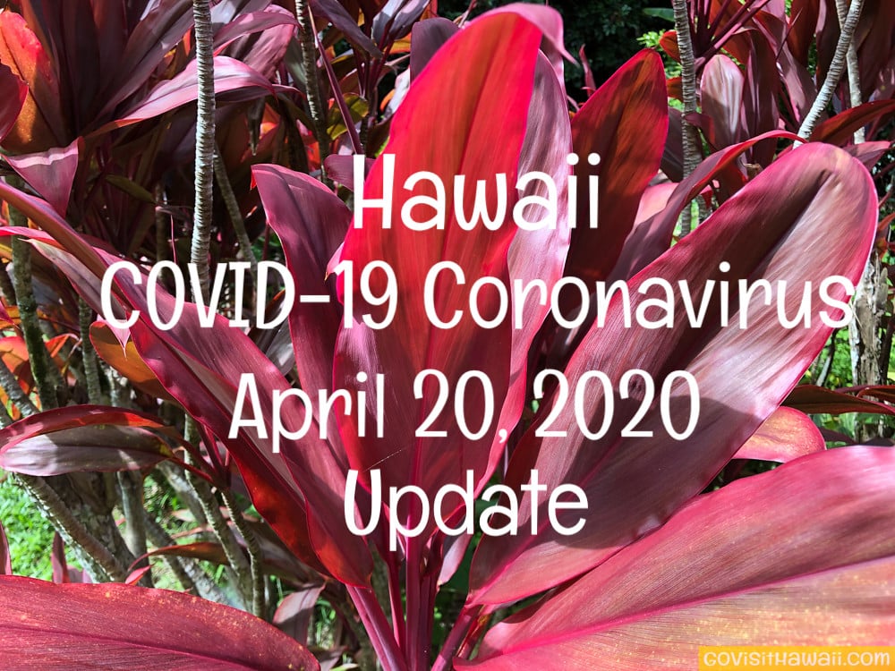Coronavirus COVID-19 Hawaii Update Through April 20, 2020