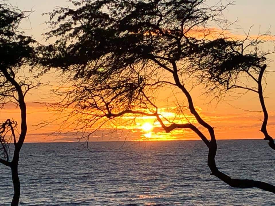 Aloha Friday Photo: Maui sunset silhouette + Coronavirus travel restriction update
