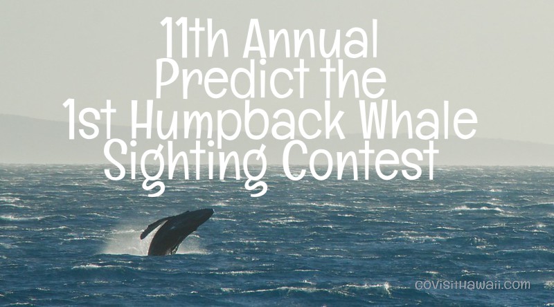 Go Visit Hawaii's 11th annual contest to predict the season's first humpback whale sighting