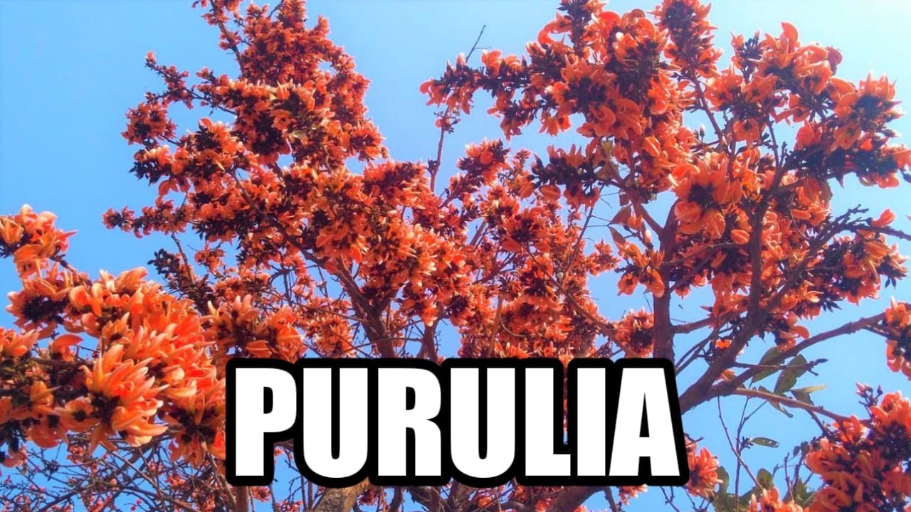 Purulia Tourist Places | Purulia Tour | Purulia Tourism | Purulia Tour Guide | Purulia From Kolkata