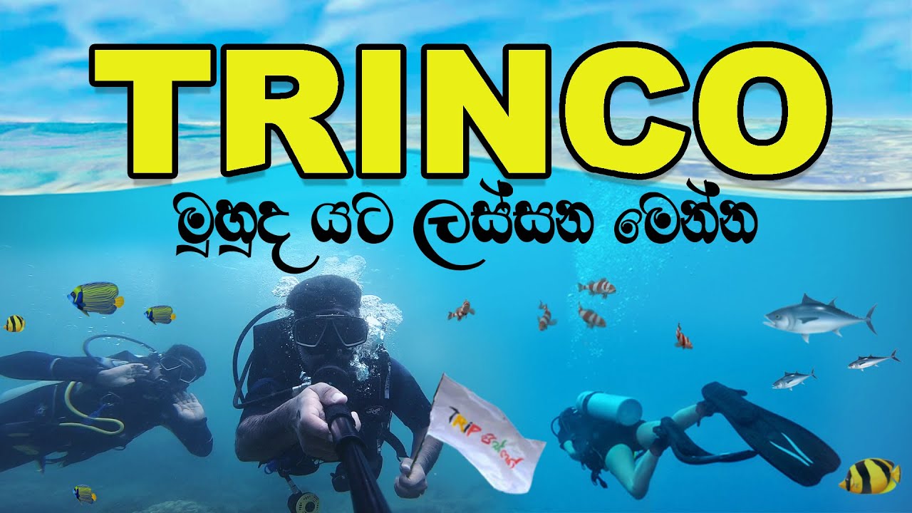 Trincomalee Travel Guide | Diving | VLOG #61