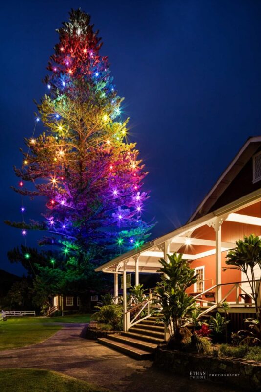 Aloha Friday Photo: Wonderful Waimea Christmas Tree + Hawaii traveler quarantine reduced to 10 days
