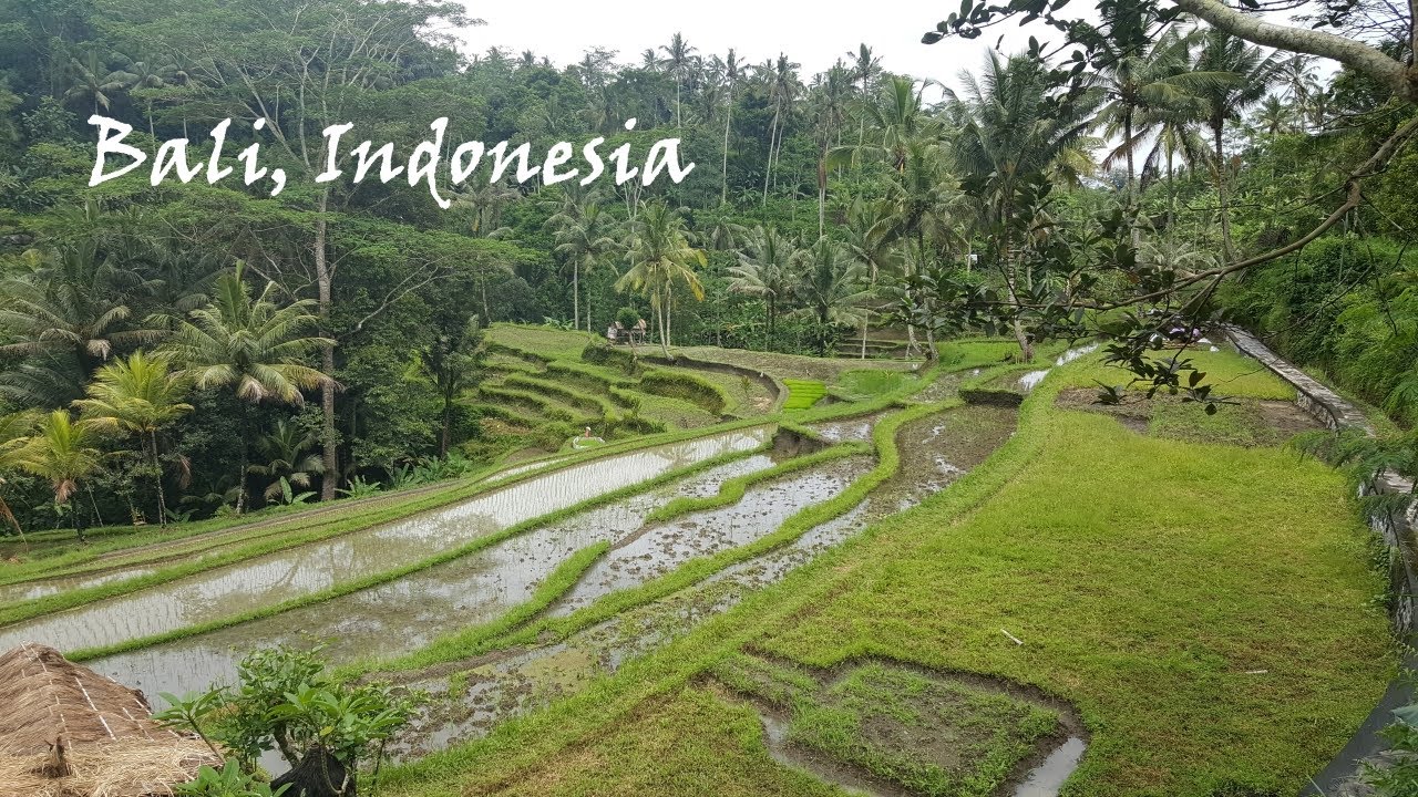 BALI Indonesia - Travel Guide | Top things to do in Bali