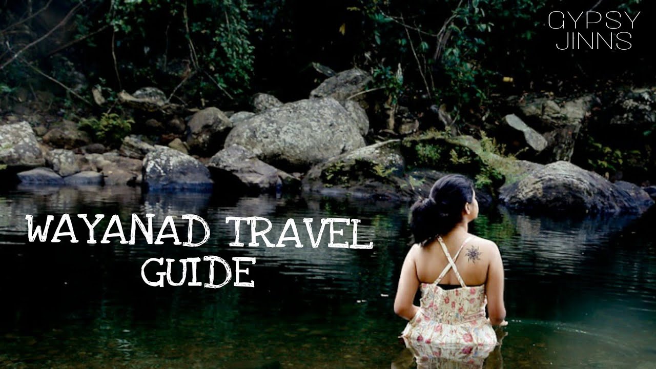 Wayanad Travel Guide | INR 4000 for 3 days | GYPSY JINNS | Tamil