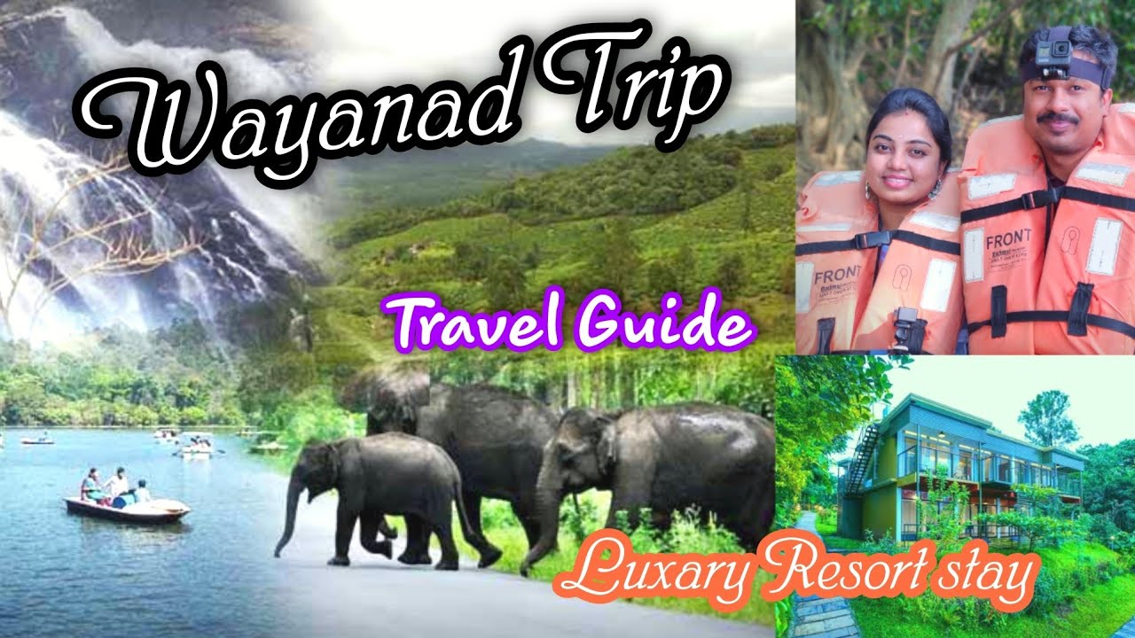 Wayanad Travel Guide|Wayanad Best Tourist Places|INR 5000 for 3 Days|Top Places to Visit in Wayanad