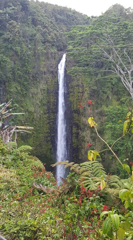 Aloha Friday Photo: Akaka  Falls on Hawaii’s Big Island