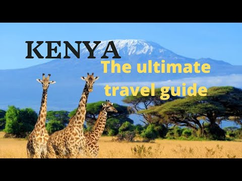 Kenya Ultimate Safari Travel Guide