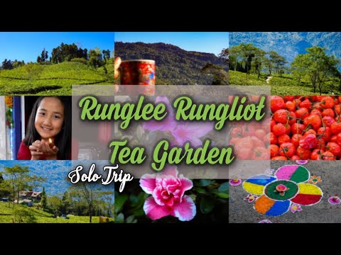 Part-5⬆Runglee Rongliot tea garden⬆ Complete travel guide with Devki ManjUsha⬆Solo Trip