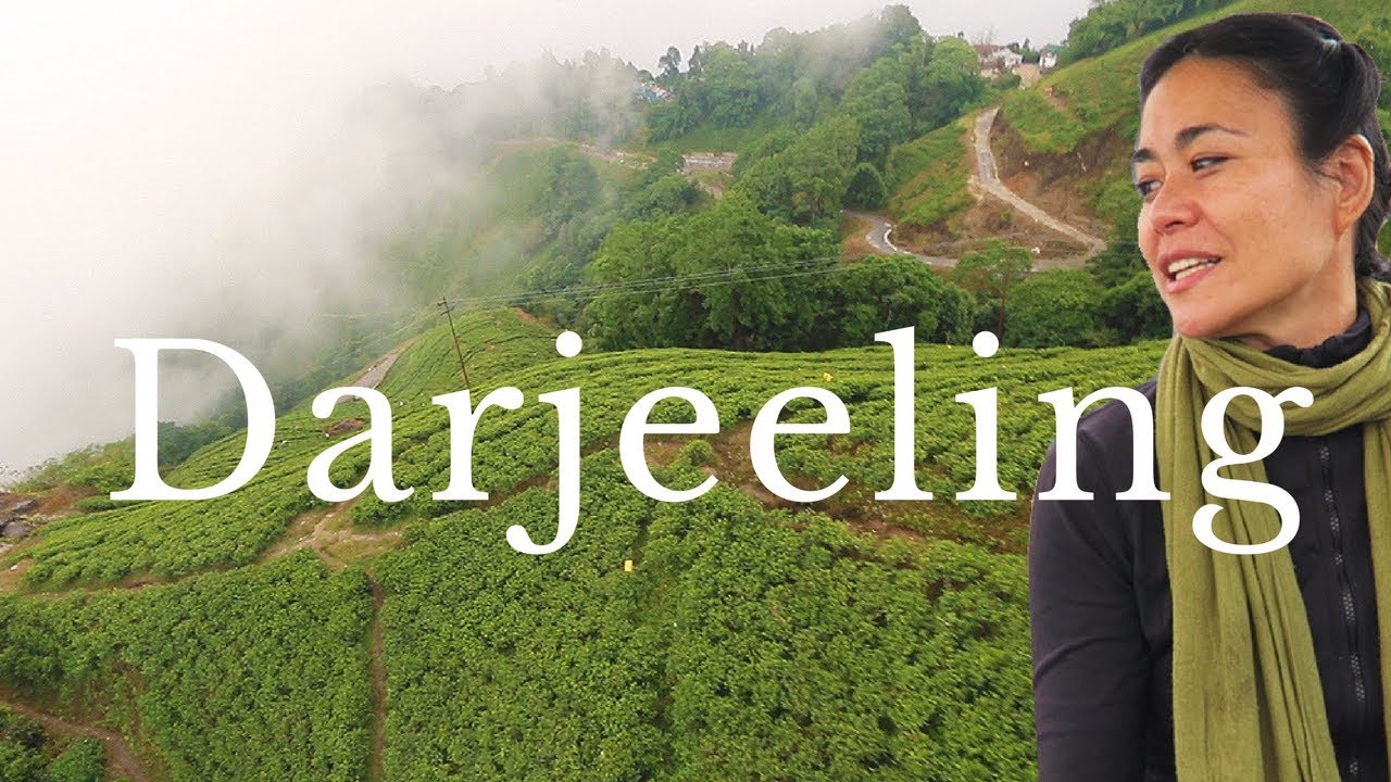 DARJEELING TRAVEL GUIDE | 14 Things to Do in Darjeeling