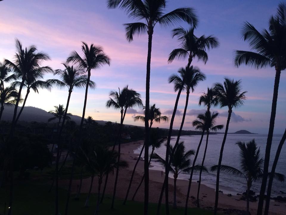 Aloha Friday Photo: Even the palm trees admire the Hawaiian sky