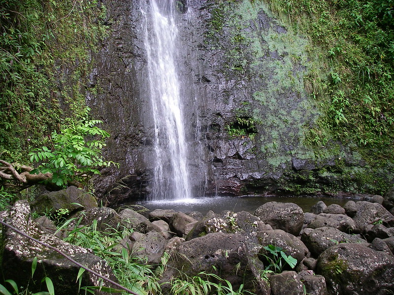 Hawaii travel news: Maui drops 2nd COVID tests upon arrival, Manoa Falls Trail to reopen