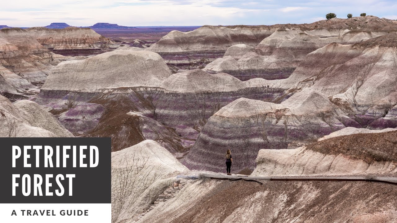 Petrified Forest National Park in Arizona: A One Day Travel Guide