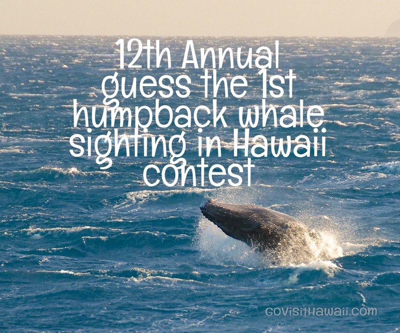 12th annual contest to predict Hawaii's first humpback whale sighting of the new season