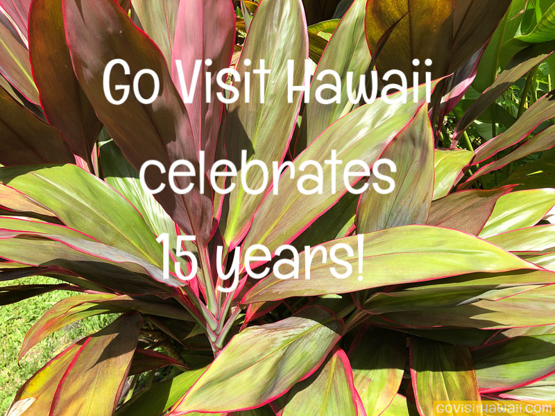 Go Visit Hawaii is 15 years old!