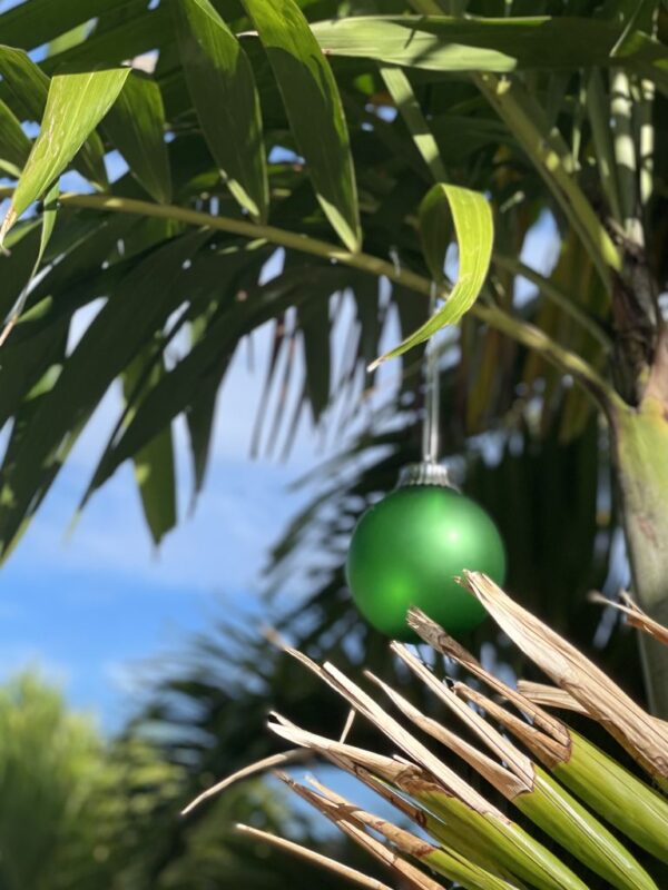 Aloha Friday Photo: Christmas ornament hanging in palm tree
