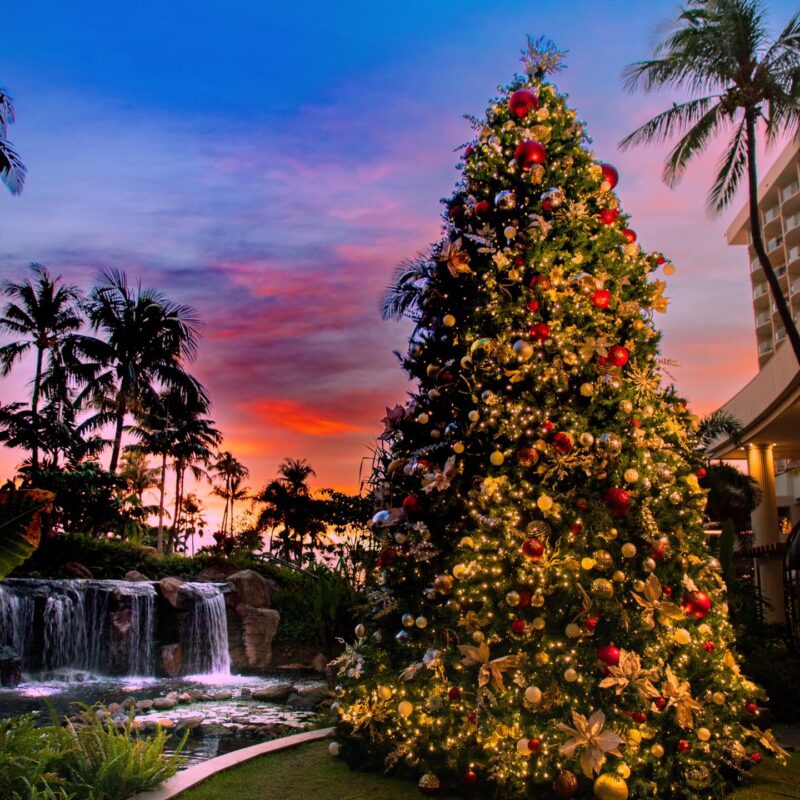 Aloha Friday Photo: Stunning Christmas Tree Scene from The Westin Maui Resort and Spa