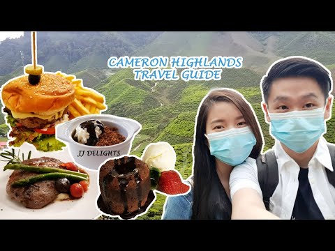 Cameron Highlands Travel Guide | Bharat Tea, Cameron Highlands Resort, Lavender Garden Part 1