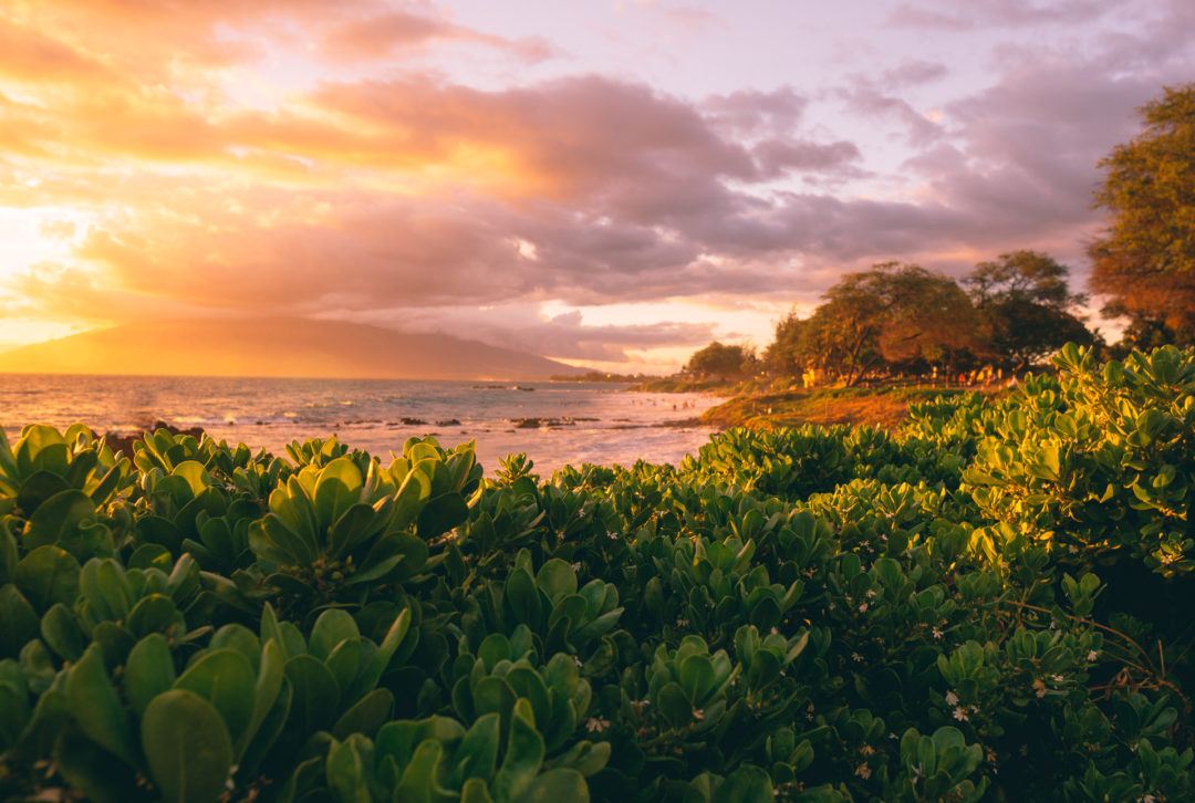 Itineraries: Maui Travel Guide | Hawaii.com