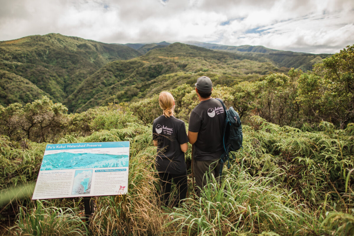 Helewai Eco Tours educate about Maui's Puu Kukui watershed