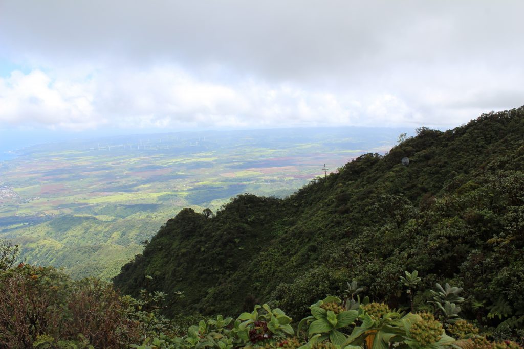 Mount Ka'ala: Hawaii's tallest peak