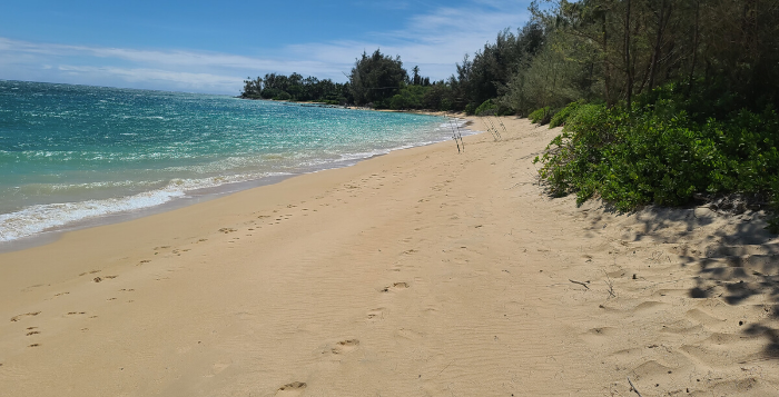 Safe Travels App for Hawaii visitors