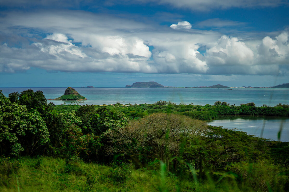 Aloha Friday Photo: Scenes from Kamehameha Hwy