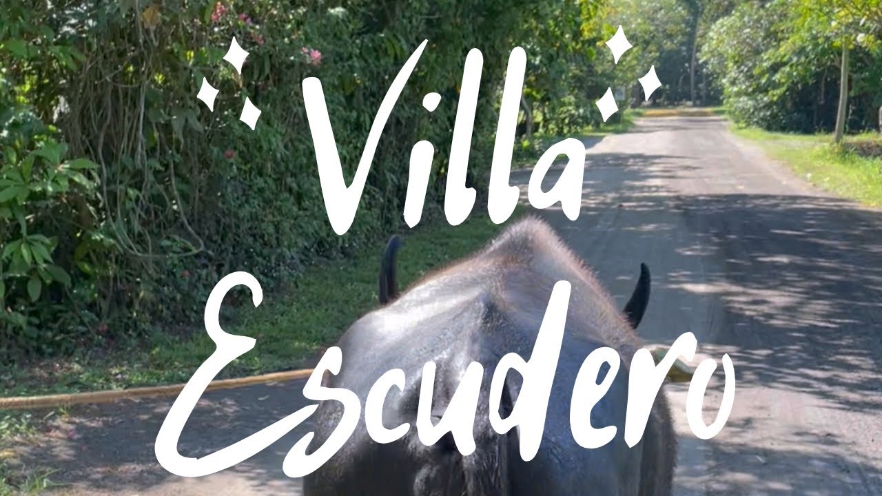 Villa Escudero Day Trip | Travel Guide | Day Tour