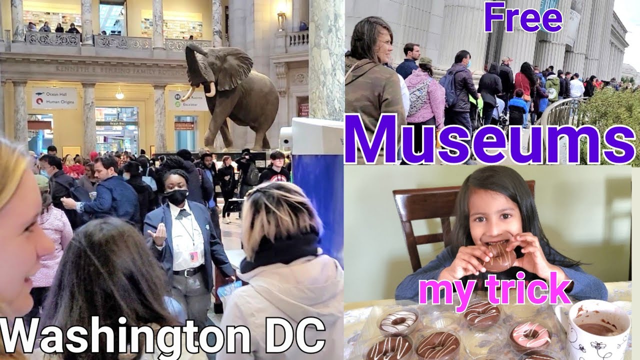 Washington DC Museums|Natural History Museum|Jhia ra tricks|Travel guide|USA|odia travel vlog