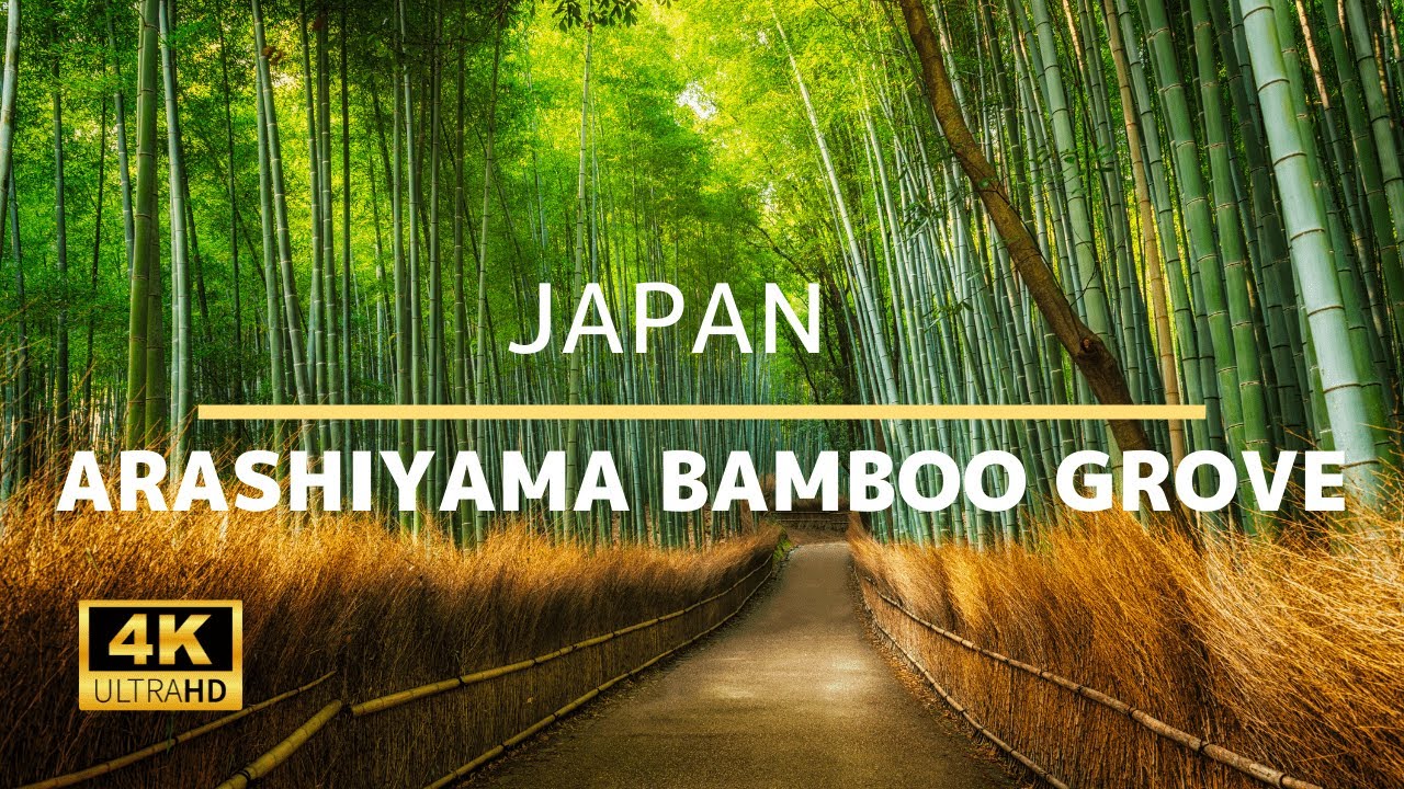 Arashiyama Bamboo Grove - 4K Virtual Walking Tour In Kyoto | Japan Travel Guide