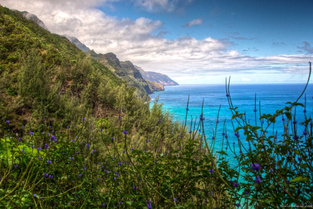 What reservations do you need for a Kauai vacation?