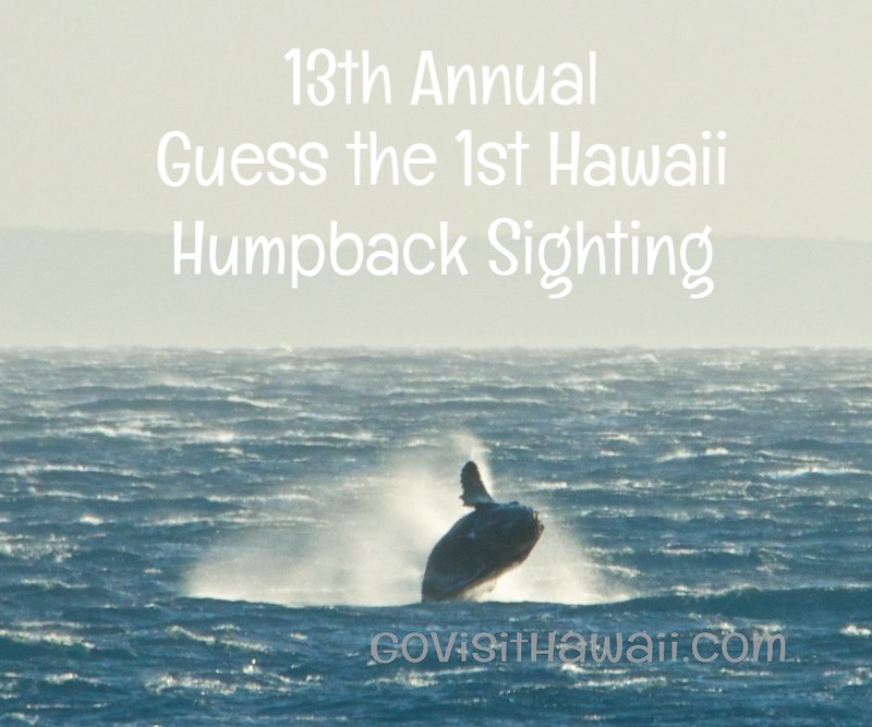 13th Annual guess the first humpback sighting in Hawaii