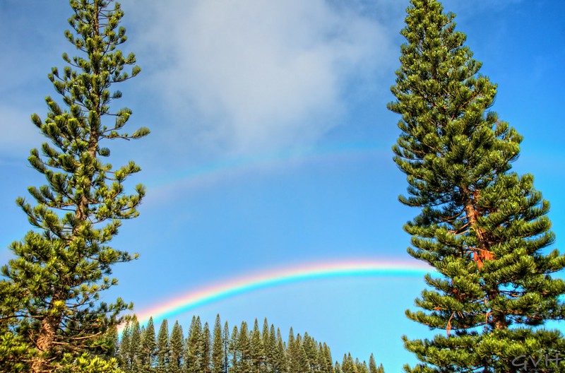 It's not just your imagination, Hawaii is a special place for rainbows