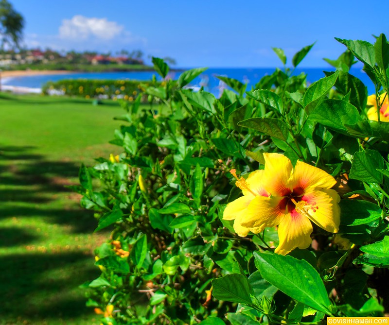 Three great Hawaii vacation sweepstakes