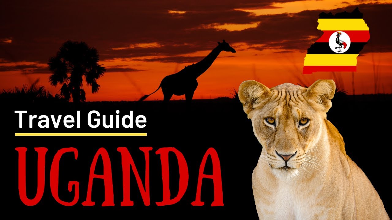 Where to Go in Uganda | Travel Guide (5 best places to visit)