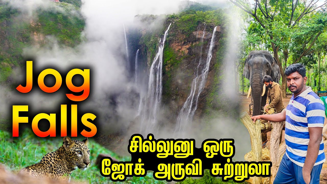 Jog Falls Travel Guide 2023 I ஜோக் அருவி சுற்றுலா I Sakrebyle Elephant Camp I Shivamogga Zoo I VDB