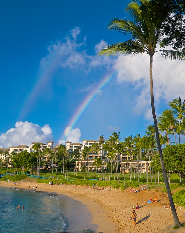 Maui travel update for November 2023