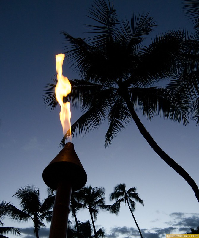 Hawaii travel news: New Year's Eve guides released & more