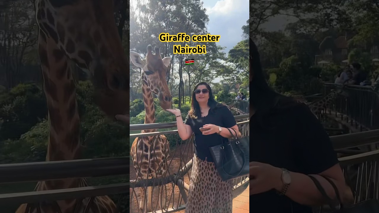 Places to visit in kenya|| Giraffe centre||travel goals kenya ||travel guide kenya