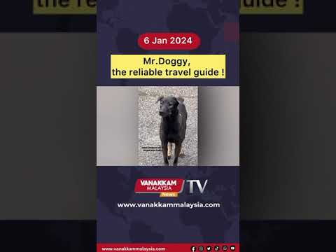 Mr.Doggy, the reliable travel guide!
