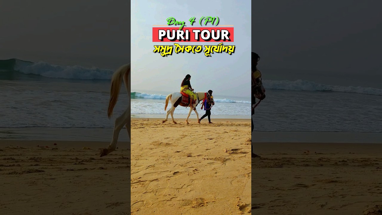 Puri Travel Guide: Beaches & Sightseeing in Bengali #shorts #bengalivlog #minivlog #puri #travelvlog