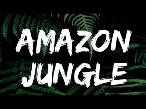 Travel Guide to the Amazon jungle: Exploring the Wildlife and Culture