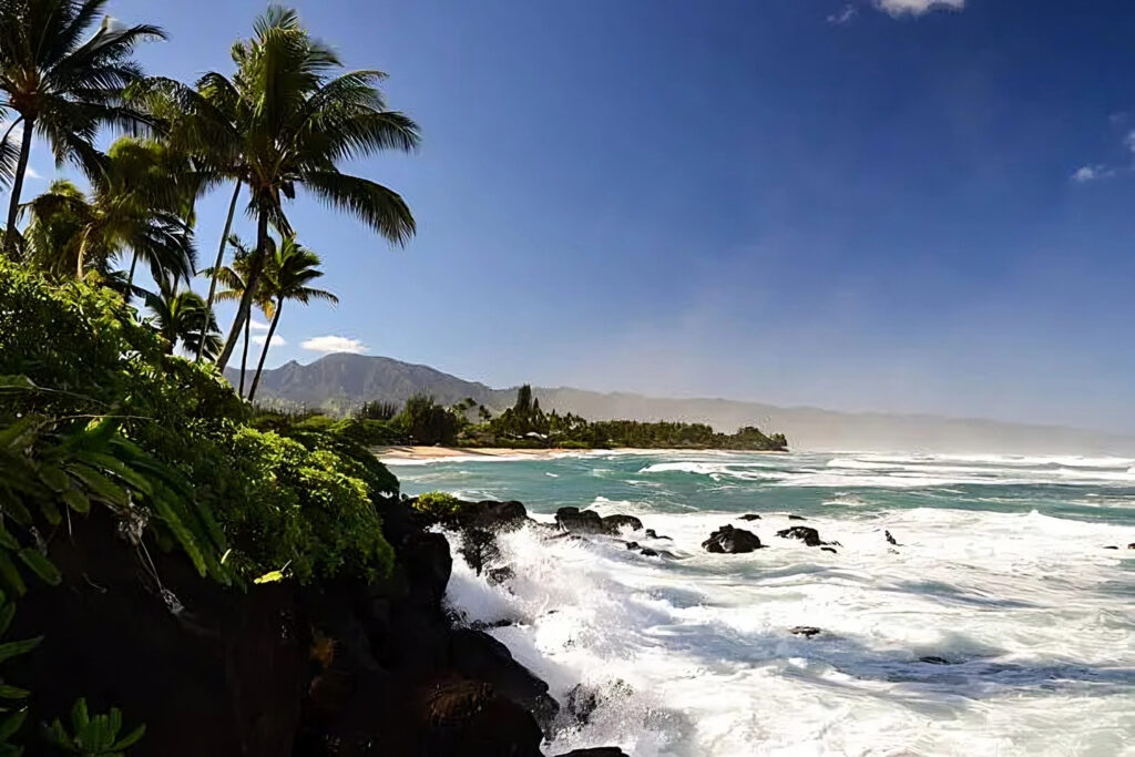 haleiwa oahu