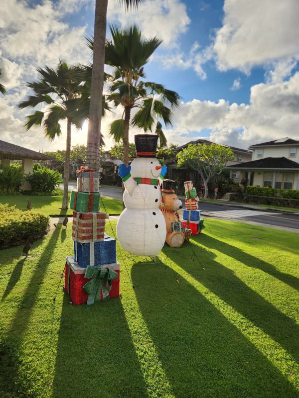 Aloha Friday Photo: Cheerful Christmas Decorations in Hawaii Kai