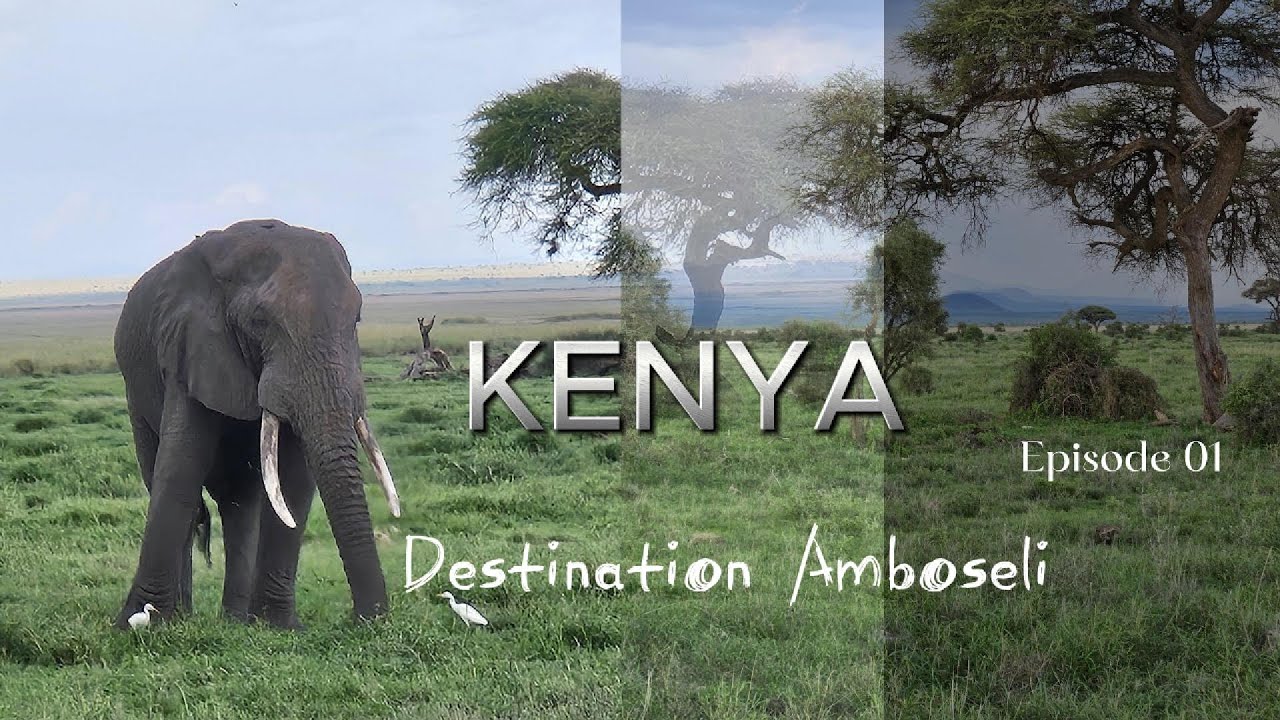 Kenya Travel Guide (Episode 1) | Places to Visit in Kenya | Kenya Vlog | African Safari | Wildlife