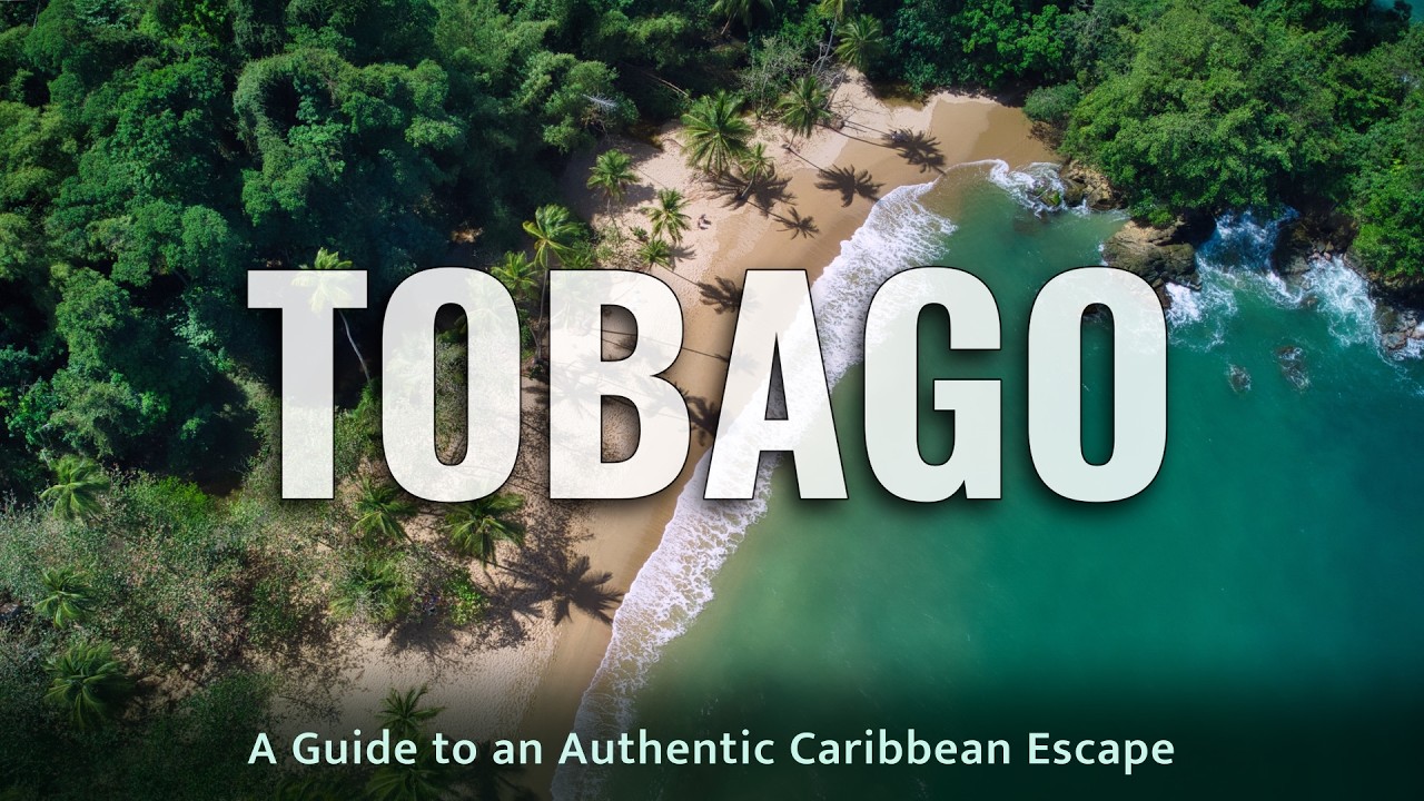 Travel Guide to Tobago | Ultimate Caribbean Holiday Destination