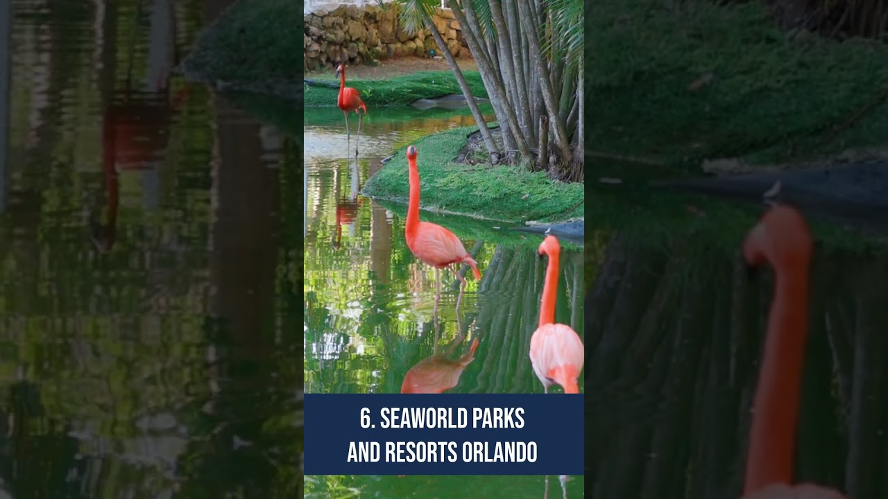 Orlando Travel Guide: Fun Things to Do in Orlando, Florida 🌎