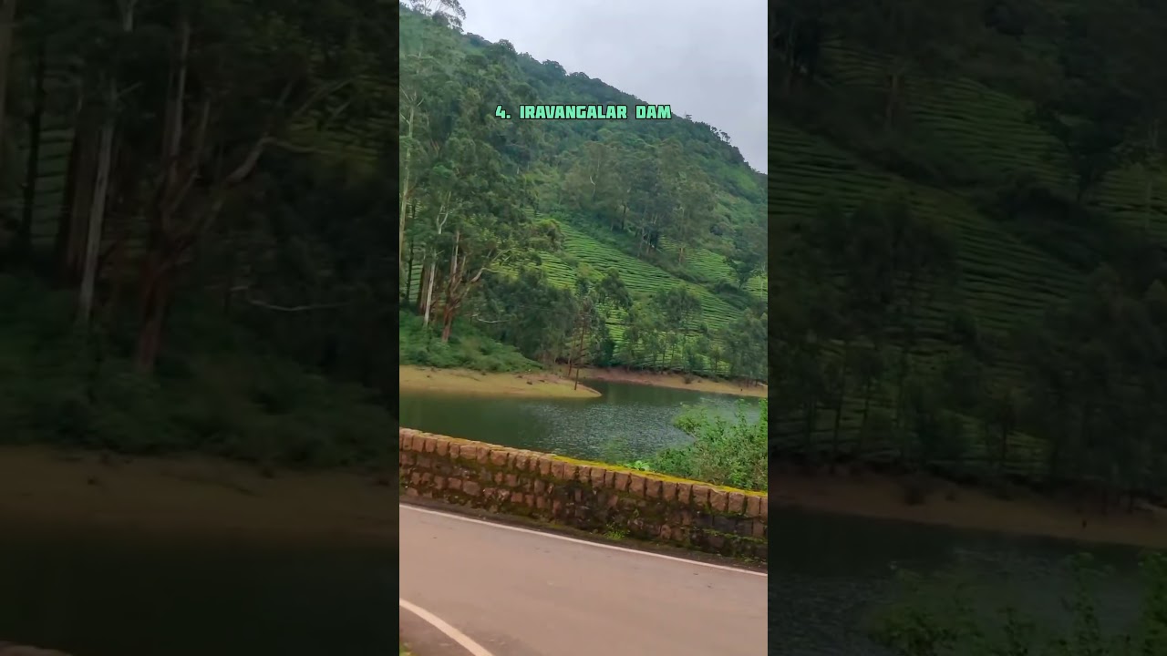 Travel Guide to Megamalai, Theni🌳😻💕 #theni #megamalai #hillstation #trip