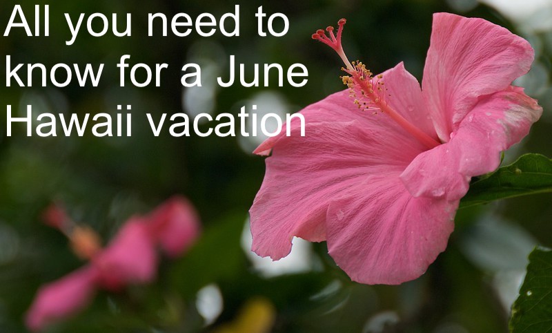 What you need to know for a June vacation in Hawaii
