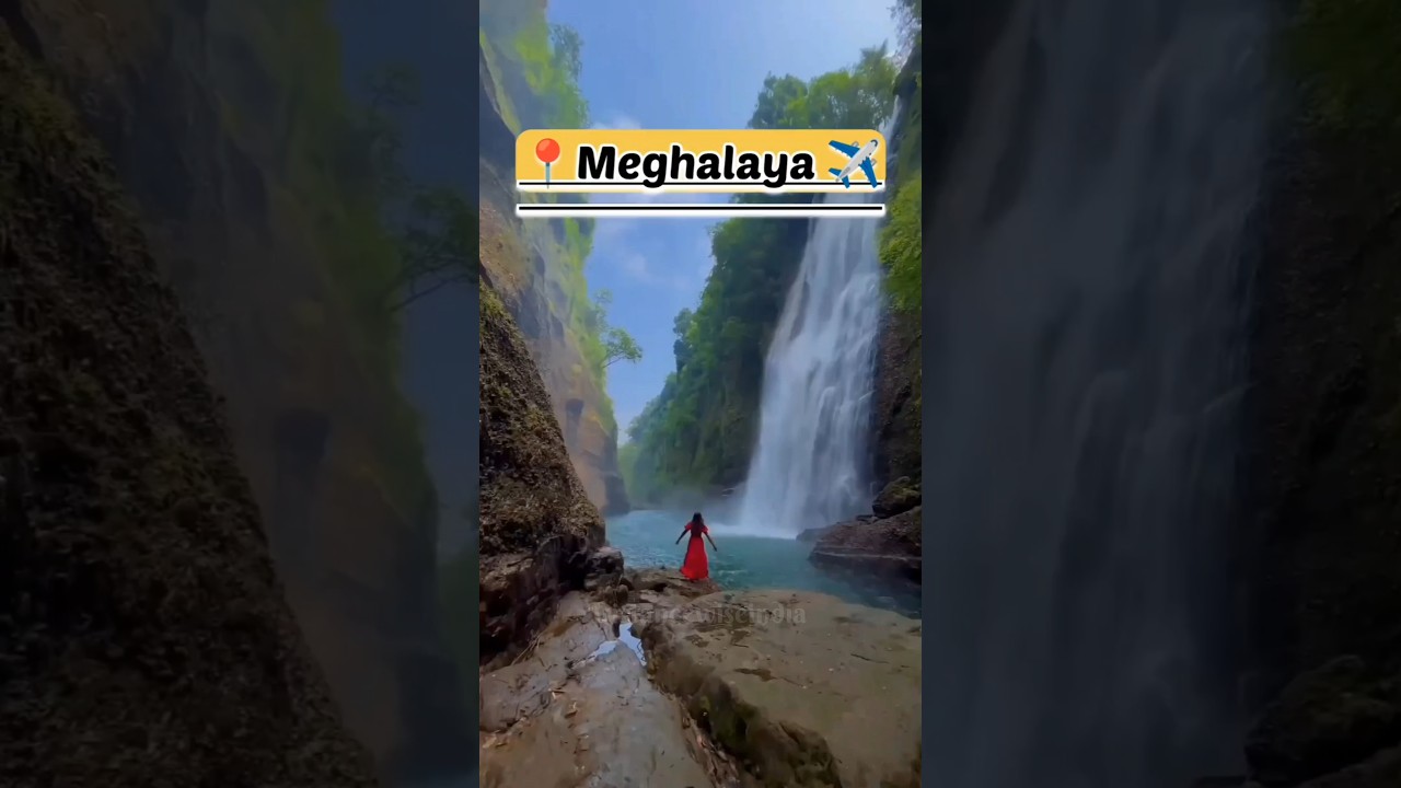 How to reach Meghalaya: A travel guide | Kolkata to meghalaya tour guide | Meghalaya #youtubeshorts